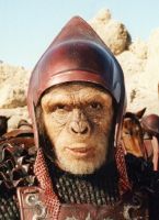 LaPlanetedesSinges-Tournage-019