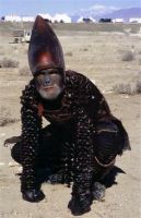 LaPlanetedesSinges-Tournage-055