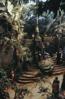 LaPlanetedesSinges-Tournage-056