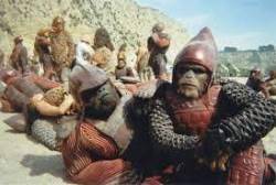 LaPlanetedesSinges-Tournage-062