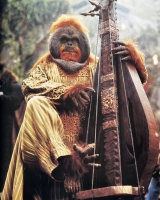 LaPlanetedesSinges-Tournage-082