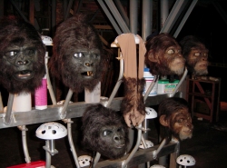 LaPlanetedesSinges-Tournage-129