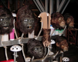 LaPlanetedesSinges-Tournage-129