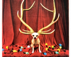 TimBurton-Polaroid-20