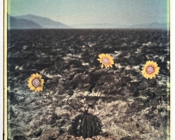 TimBurton-Polaroid-36