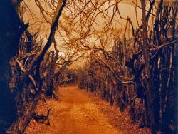 SleepyHollow-Tournage-044