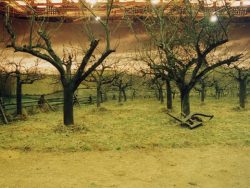 SleepyHollow-Tournage-049