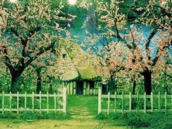 SleepyHollow-Tournage-069