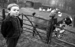 Sleepy Hollow Cover: 103Y-039-030
London, England, 1999