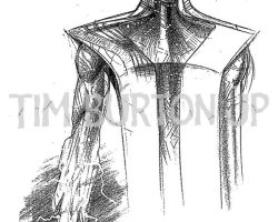 SupermanLives-Production-Croquis-173