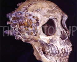 SupermanLives-Production-Preproduction-58