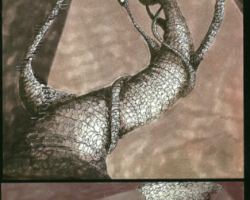 TarametleChaudronMagique-Production-Croquis-65